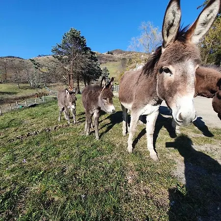 Vakantieboerderij Cuccaro Club - Val Di Vara E Cinque Terre *