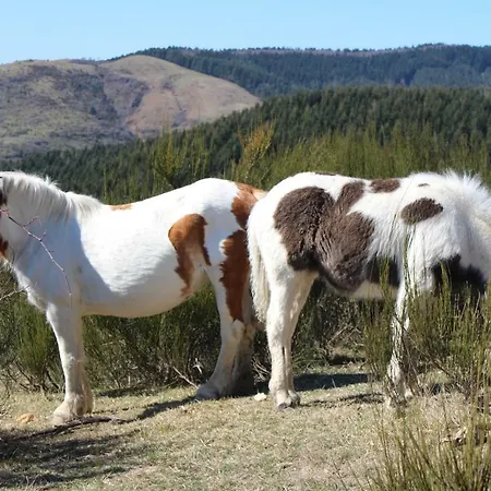 Cuccaro Club - Val Di Vara E Cinque Terre Vakantieboerderij *