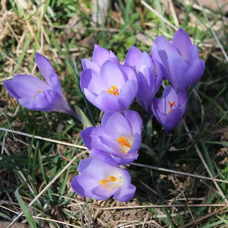 Cuccaro Club - Val Di Vara E Cinque Terre בית חווה