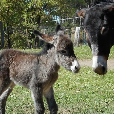 Cuccaro Club - Val Di Vara E Cinque Terre בית חווה *