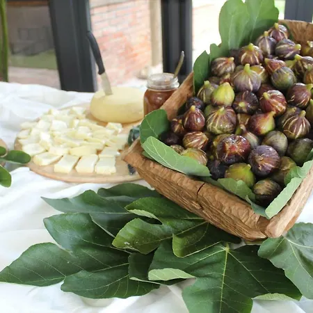 Farm stay Cuccaro Club Rocchetta di Vara