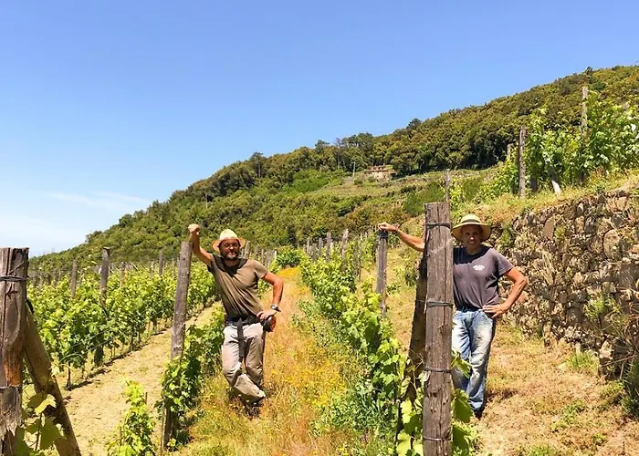 Cuccaro Club - Val Di Vara E Cinque Terre בית חווה