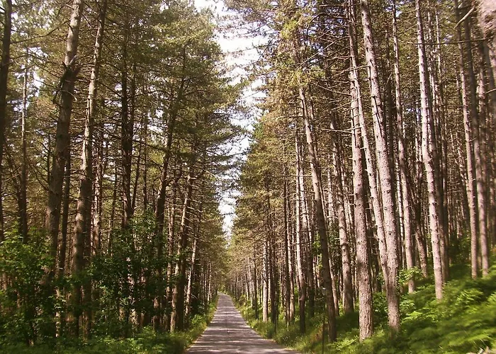 农家乐 Cuccaro Club - Val Di Vara E Cinque Terre 若彻塔蒂瓦拉